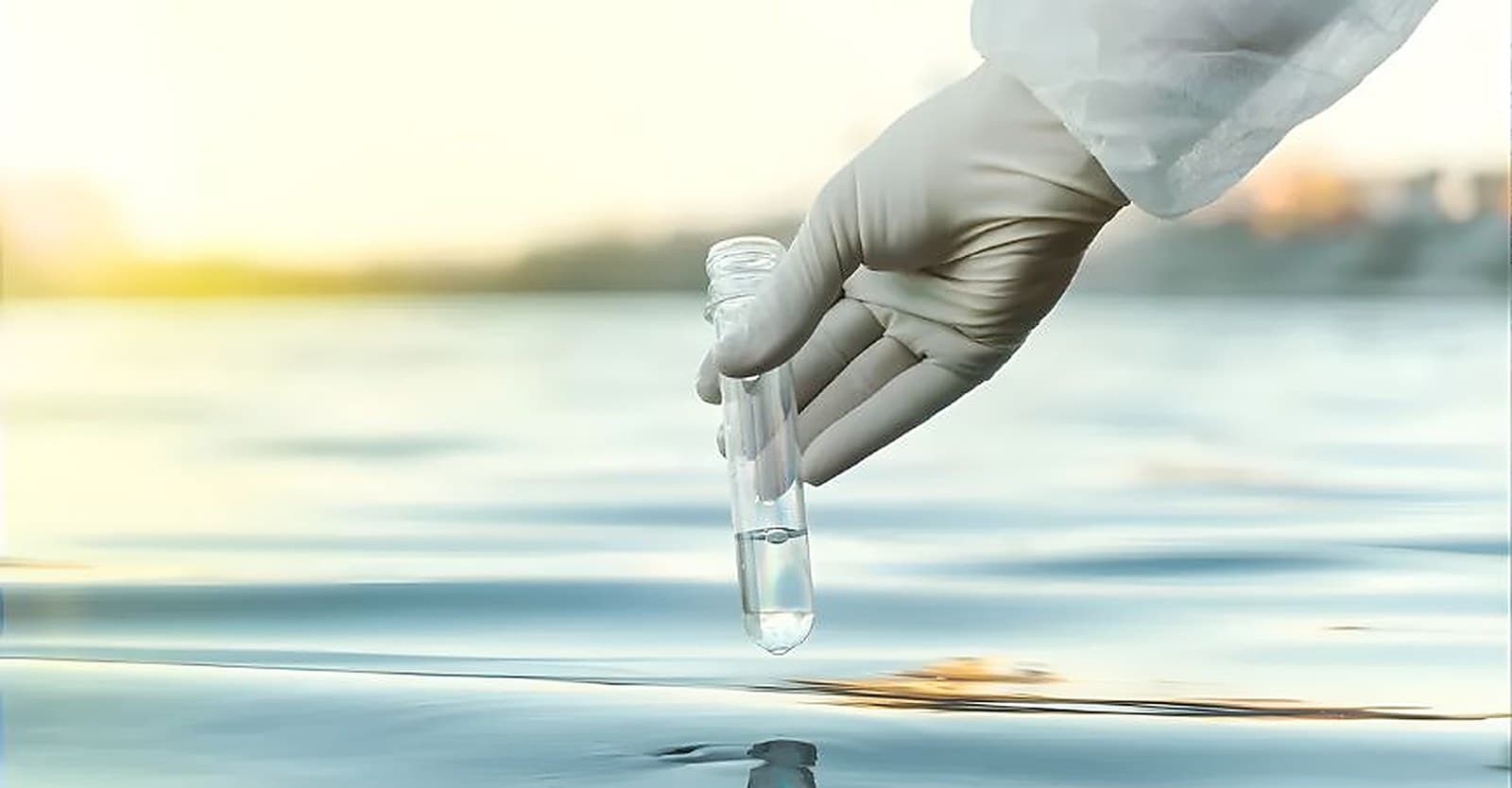 Technician collecting a water sample in a test tube for laboratory analysis